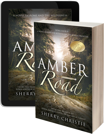 Book cover image: Amber Road